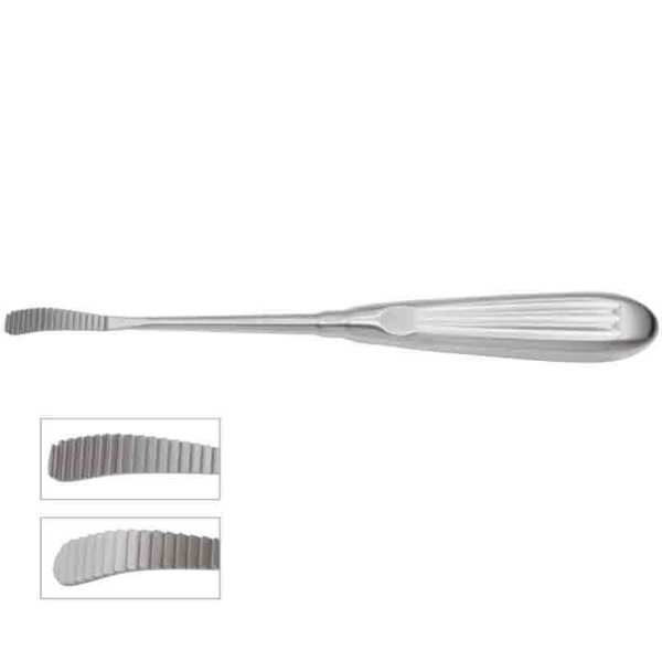 Aufricht Rasp, 8″ (20cm), 8mm x 30mm
