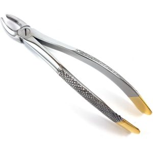Extracting Forceps