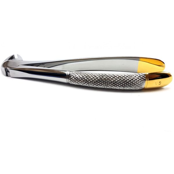Extracting Forceps - Image 3