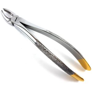 Extracting Forceps
