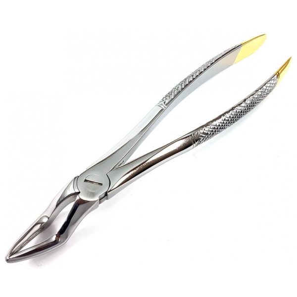 Extracting Forceps - Image 2