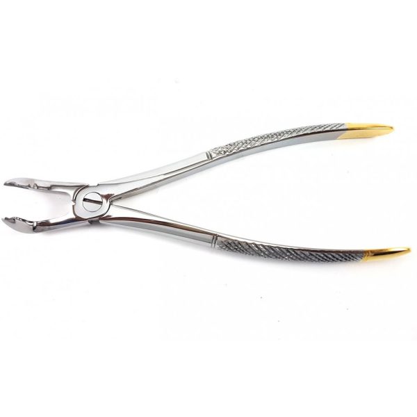 Extracting Forceps - Image 2